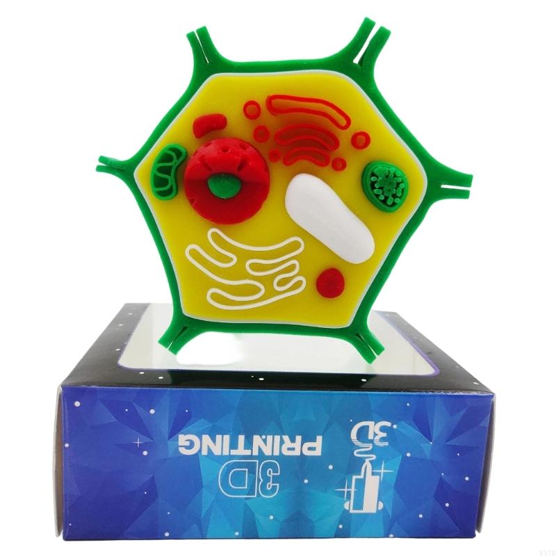 Professional Animal Plant Cell - Medical Lab Study review and price
