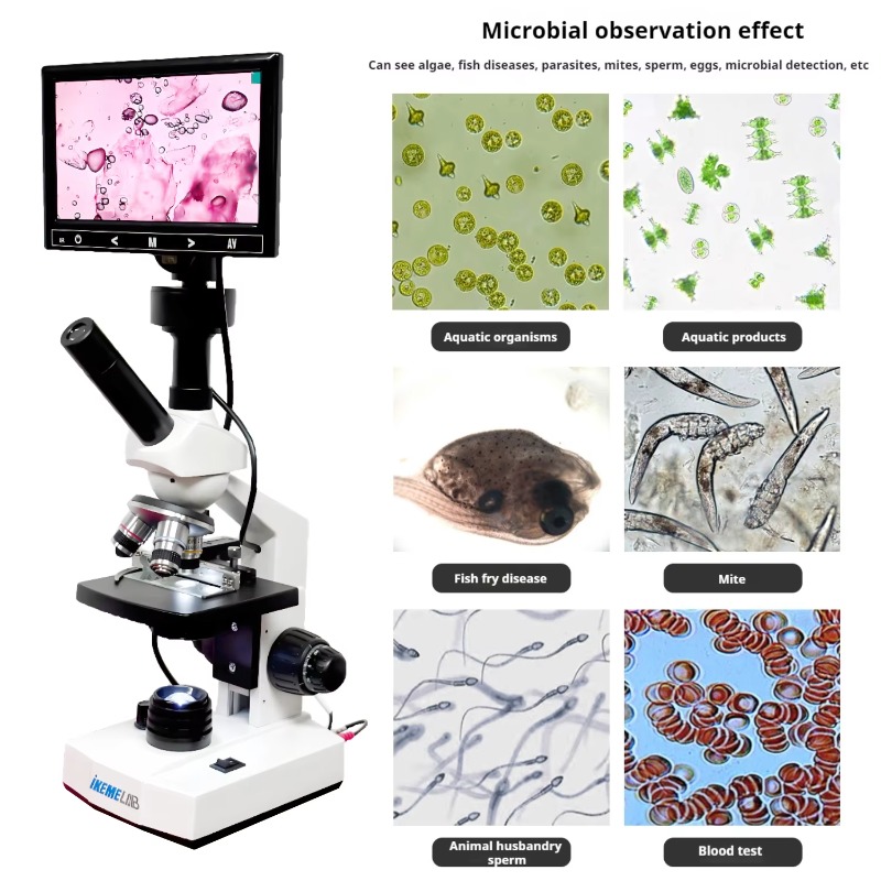 HD Screen Digital Microscope B - Medical Lab Microscope review and price