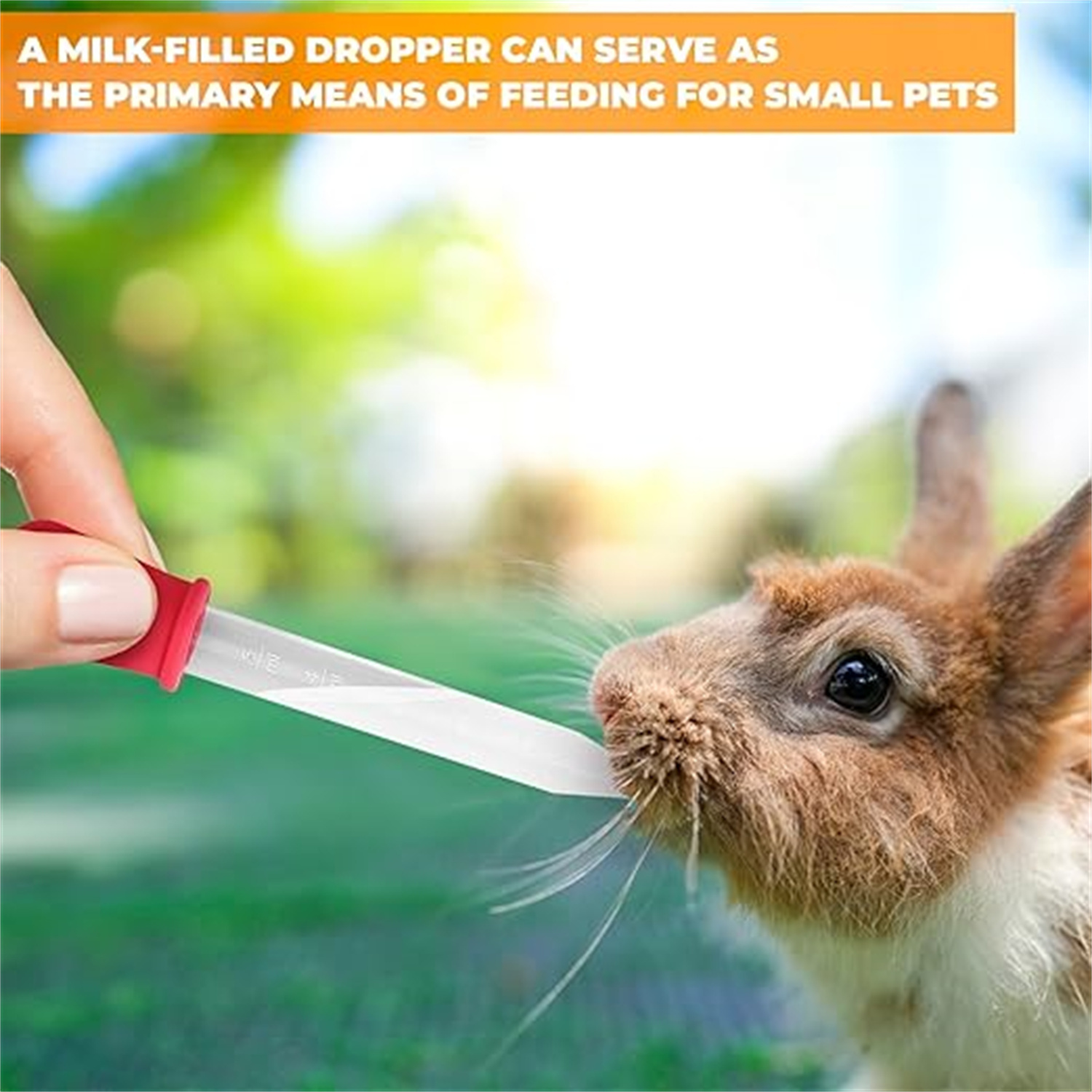 8pcs Silicone And Plastic Liqu - Lab Pipette Tip review and price