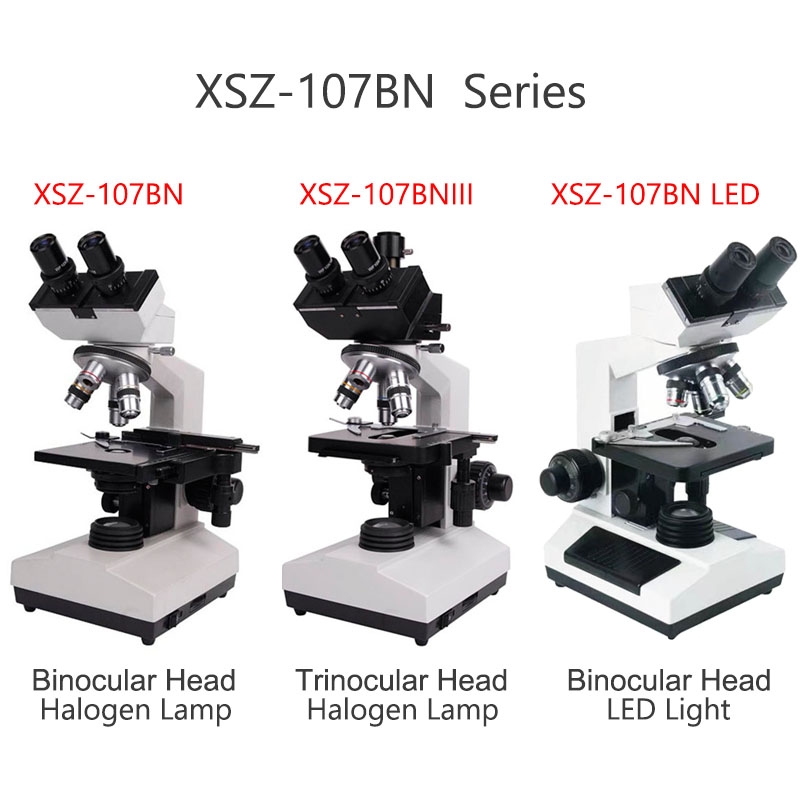 Xsz-107bn Electron Laboratory  - Medical Lab Microscope review and price