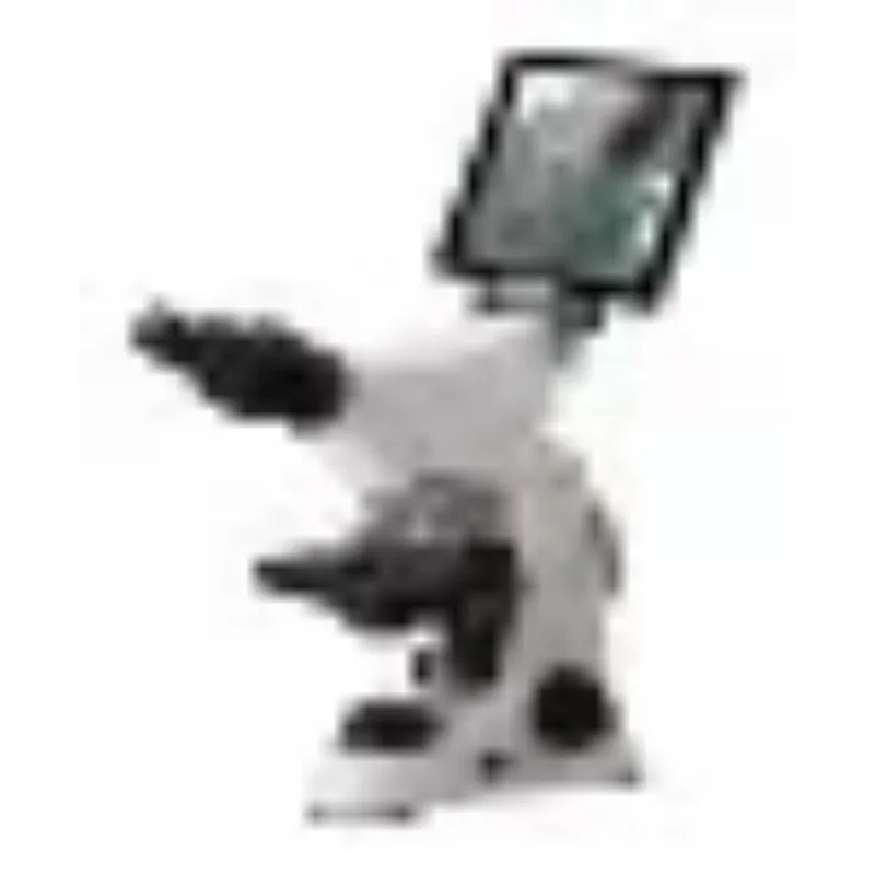 2026 New Stainless Steel Medic - Medical Lab Microscope review and price