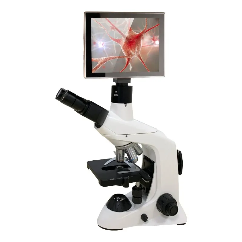 2026 New Stainless Steel Medic - Medical Lab Microscope review and price
