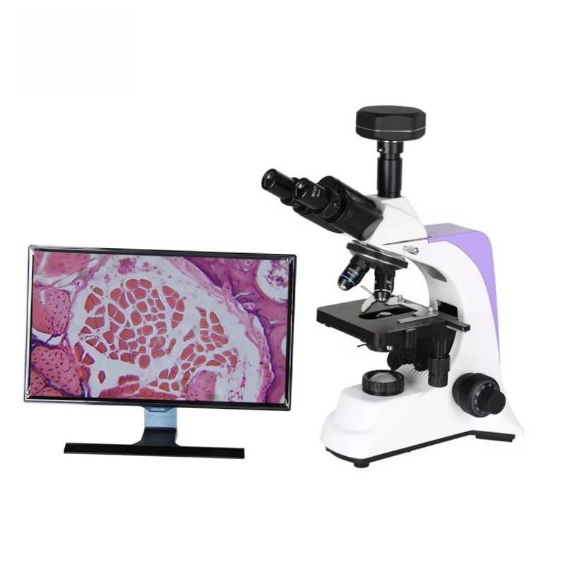 2026 Medical Lab Digital Biolo - Medical Lab Microscope review and price