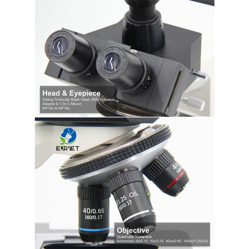 2026 Medical Lab Digital Biolo - Medical Lab Microscope review and price