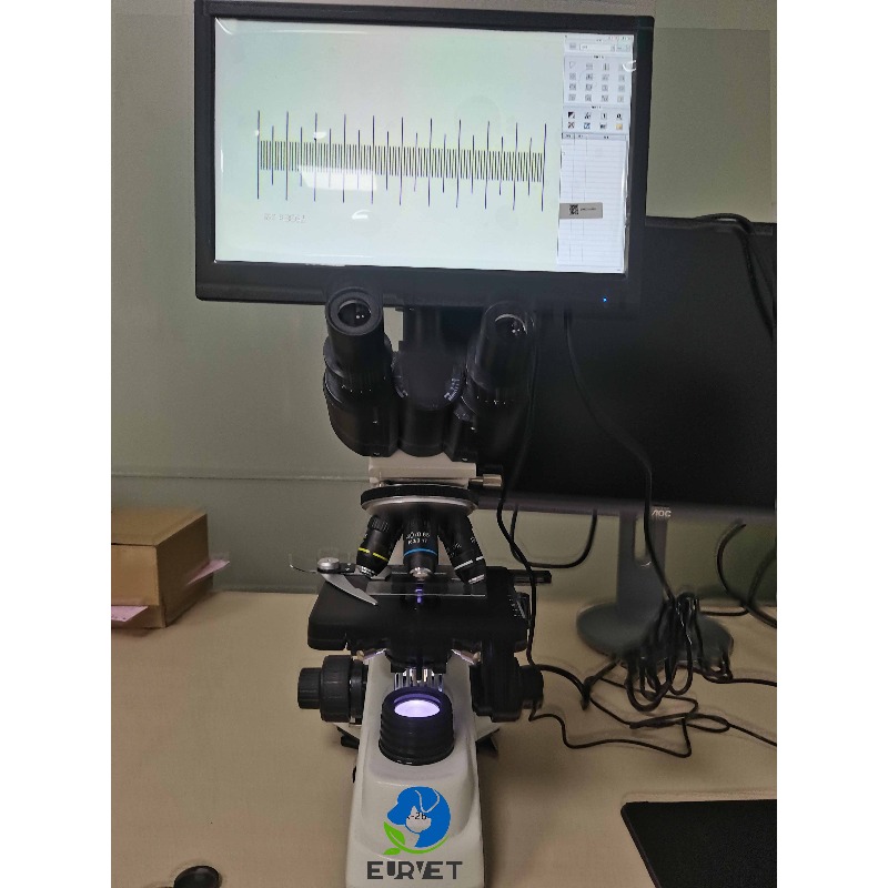 2026 Medical Lab Digital Biolo - Medical Lab Microscope review and price