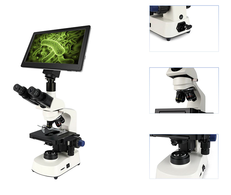 HC-B079A Cheap Microscope Elec - Medical Lab Microscope review and price