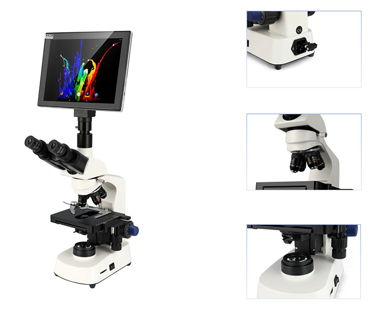 HC-B079A Cheap Microscope Elec - Medical Lab Microscope review and price